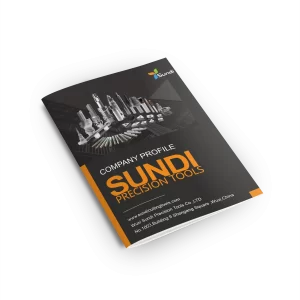 Sundi company profile cover