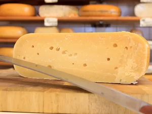 Dairy & Cheese Processing