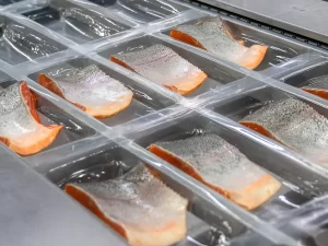 Transformation des produits de la mer